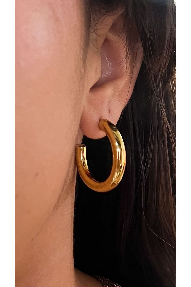 Brinco Argola Aurora Linha M- Aço