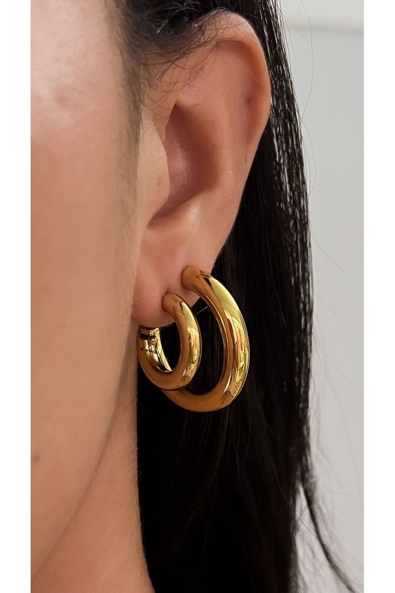 Brinco Argola Aurora Linha M- Aço