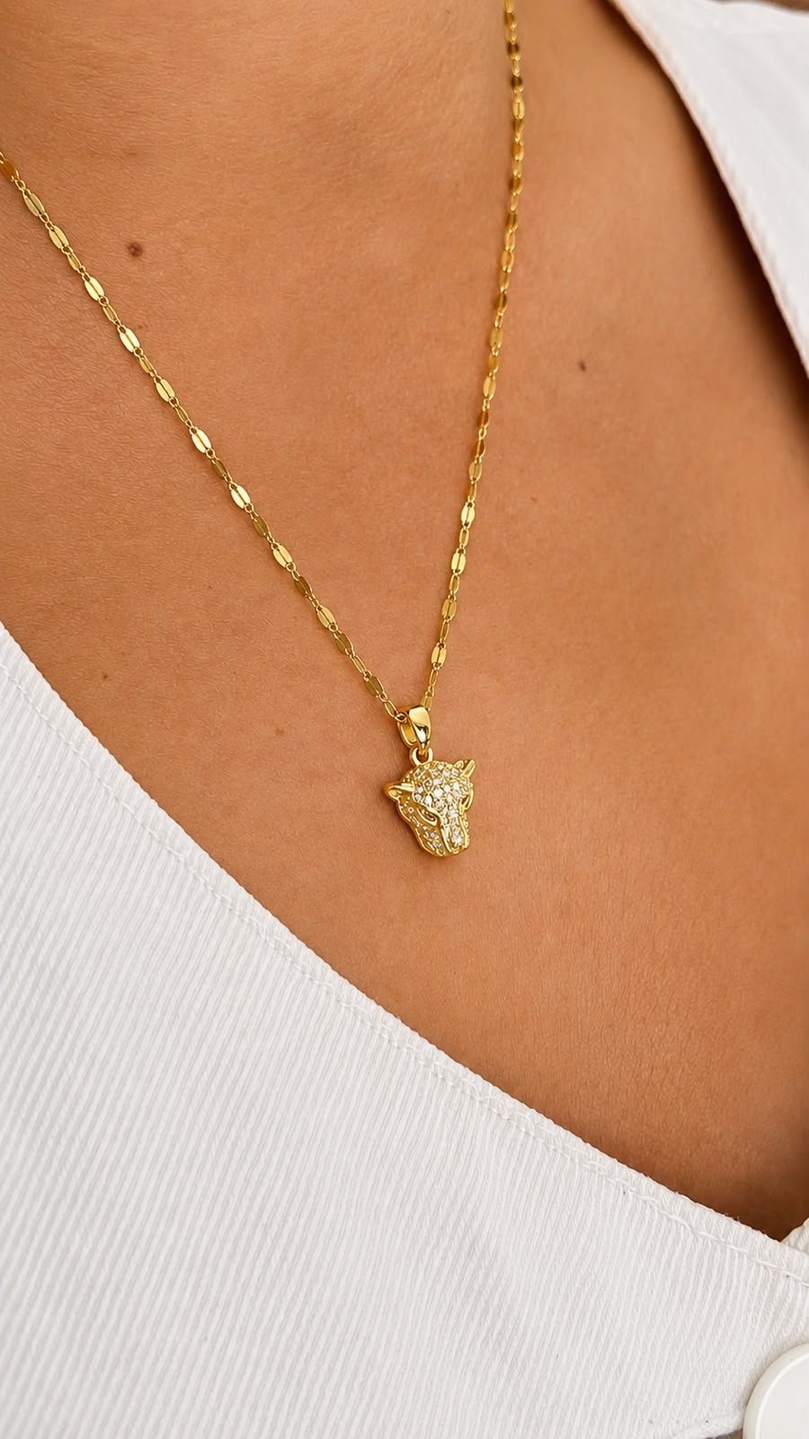 Colar Leopardo Glow Minimalist - Aço